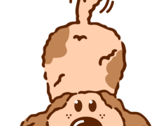 Cabinet veterinar Bucuresti - Joyvet- Endoscopie, Radiologie, Dermatologie